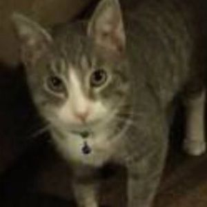 Meet your Posher, Emerita